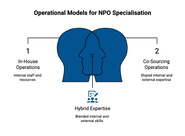 Strategic Back-Office Options: The Bear's Hibernation Decision
